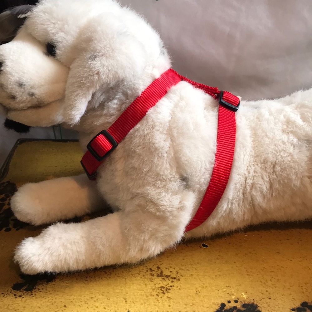 Red Adjustable Dog Harness NWOT